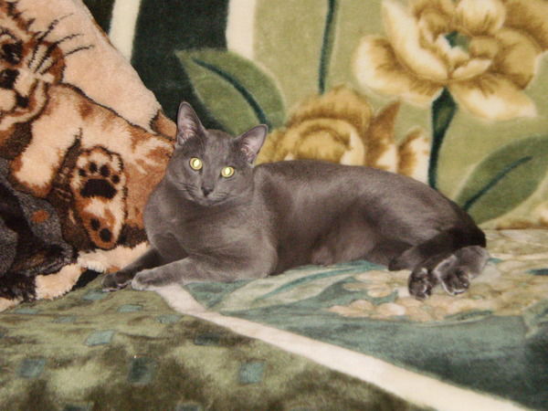 Екатерина Егорова