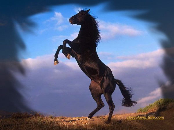 Artak_Marine Artak_Marine