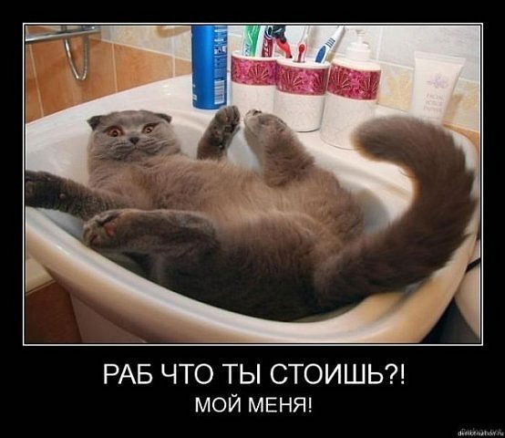 Фёдоров Евгений