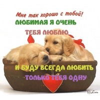 Сергей Звягин