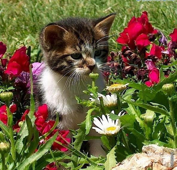 Екатерина Скокова