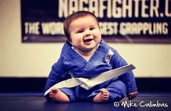 //////////// ////////////