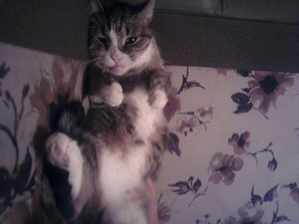 Иоанн Никуляк