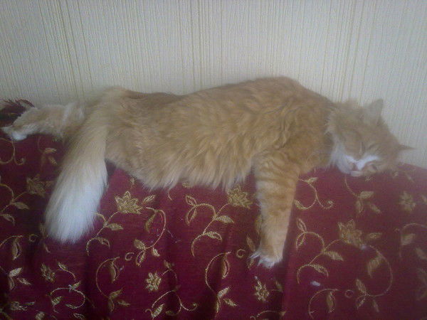 Кристина Гнатюк