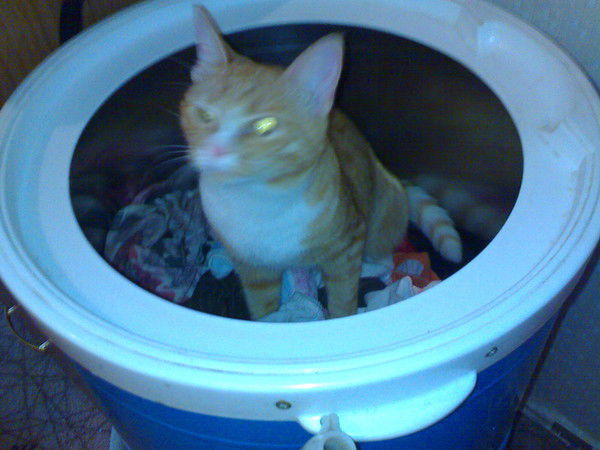 Сергей Мадонов