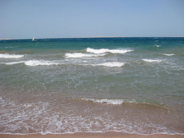 Ольга Сапицына