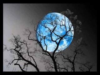 Эльдар Барманкулов