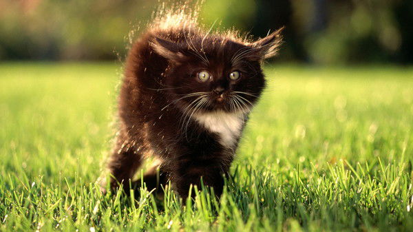 Наталья Летягина