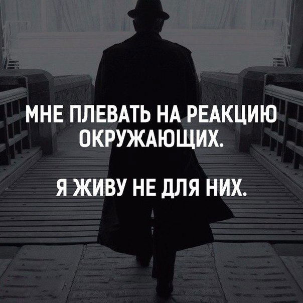 Медвед Медвед.