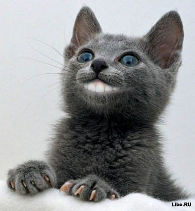 Харкавлюк Оксана