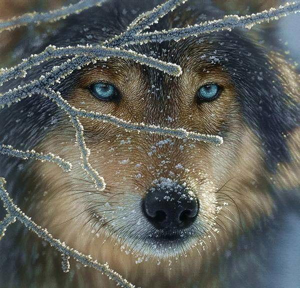 Антон Салангин