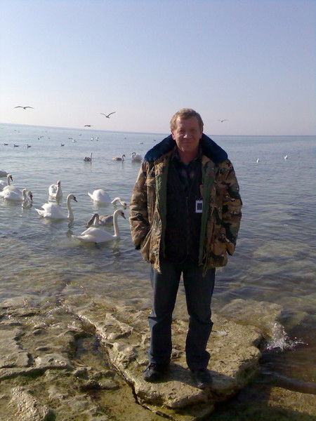 Сергей Бракоренко