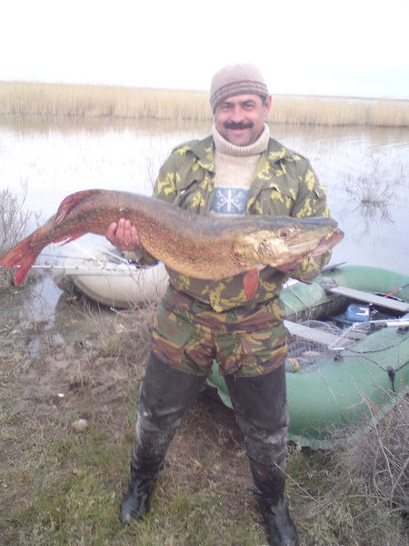 Александр Падалка