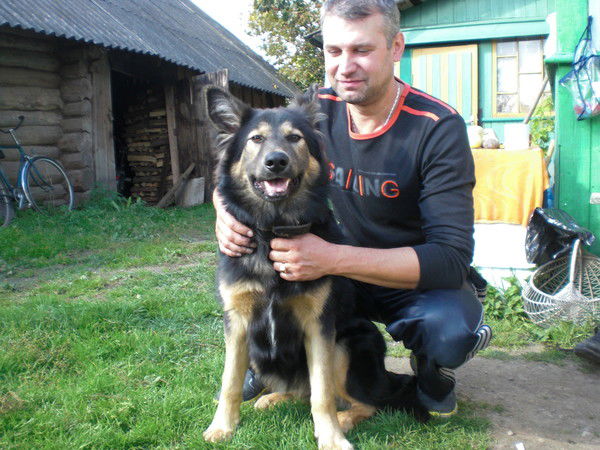 Дмитрий Острецов