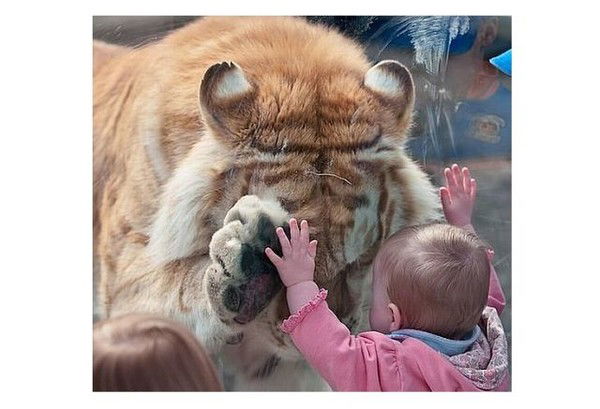 Андрей Тюкин