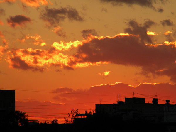 Вадим Дунаев