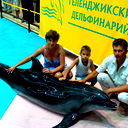Ирина Назарова