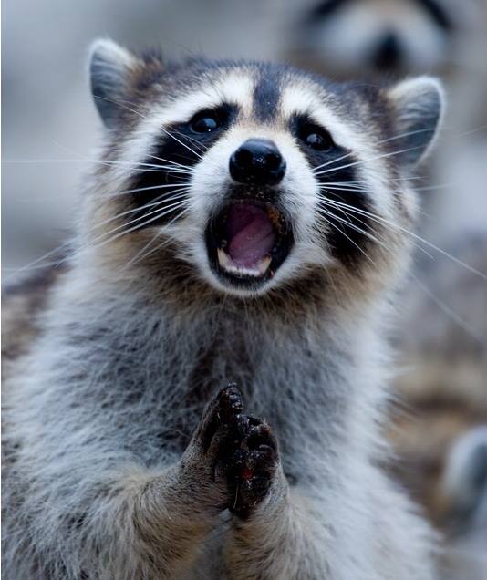 Вениамин Поликарпович