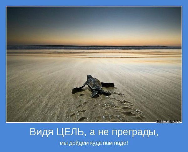 Анна Пархоменко