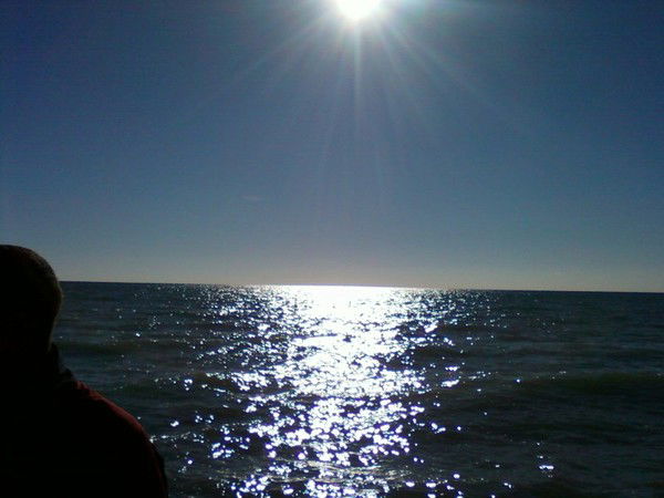 Дамир Мустафин