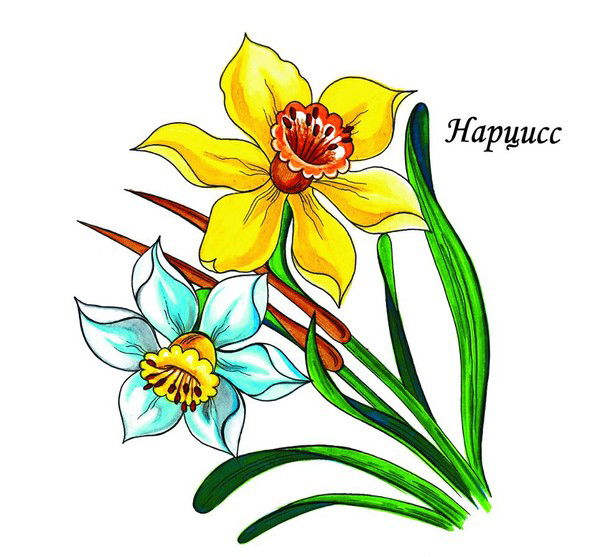 Майнур Корабаева