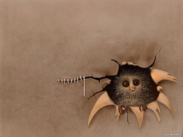 Сулейман Загиров