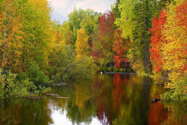 Татьяна Сергеева