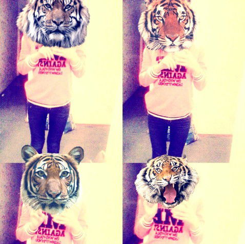 ■●■ Люблю Печеньки■●■