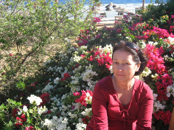 Елена Максимова