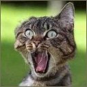 Паша Пинчук