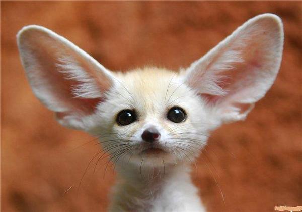 Василий Ниязбаев