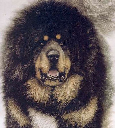 Андрей Судариков