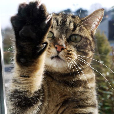 Михаил Безысходность