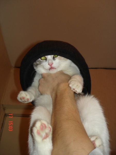 Иринка Кулькова