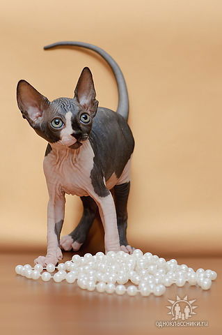 Наталья **********