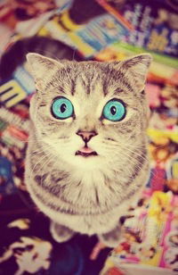 Регина Валиуллина