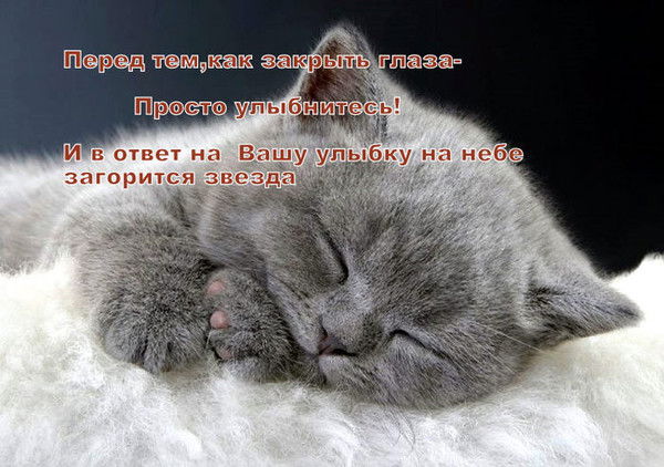 Юлдашева Дильноза