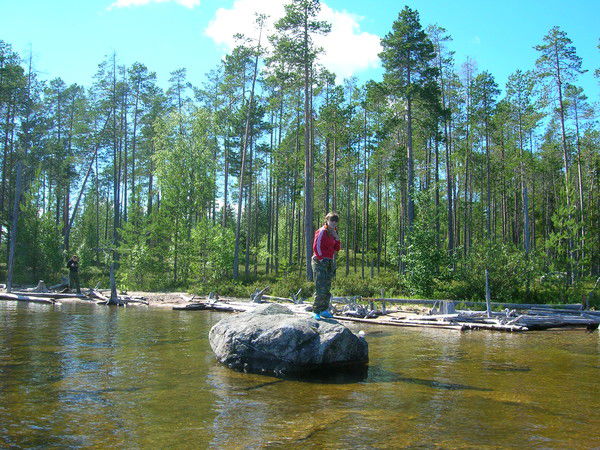 Елена Дудукина