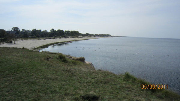 Сергей Паллаг