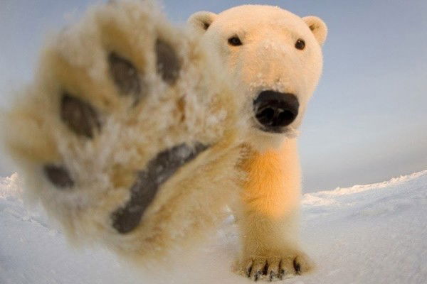 Амирхан Кошербаев