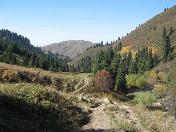 Айжан Бадавамова