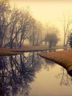 Асель Касенова