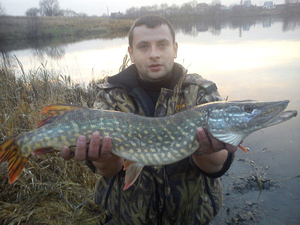 Александр Милевский