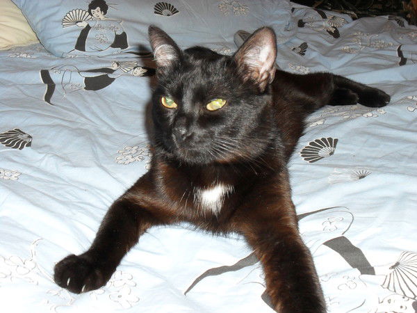 Руслан Урманов