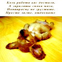 Владимир Безруков