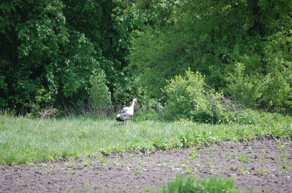 Павел Павликов