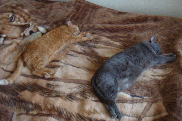 Инна Назарова