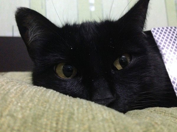 Руслан Сериков