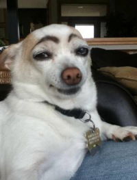 Кристина Чумаченко