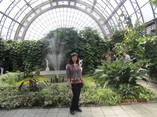 Наргис Хамидова